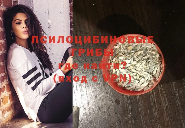 эйфоретик Ладушкин