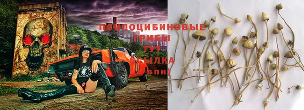 mdpv Алексеевка